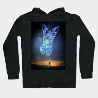 Fox Constellation Hoodie